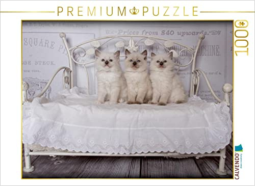 CALVENDO Puzzle EIN Motiv aus dem Kalender RAGDOLLS Impressionen aus der Kinderstube | 1000 Teile Lege-Größe 64 x 48 cm Foto-Puzzle für glückliche Stunden