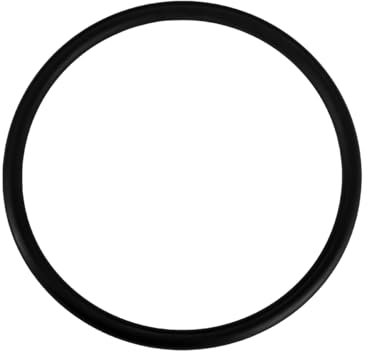 Hayward - Joint torique pour Pompe à Chaleur de Piscine - HWX200026061