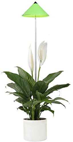 Parus by Venso SUNLiTE 7W LED Vollspektrum Pflanzenlampe Grün, Indoor Plants Pflanzen Beleuchtung, mit ausziehbarem Teleskopstab, Parus Pflanzenlampe für kleine und mittelgroße Zimmerpflanzen
