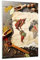 Bilder auf Glas Welt Karte Gewürze Farben Glasbild 50x70cm Wandbilder Dekoration Wohnzimmer Schlafzimmer Küche Deko Klein Wanddeko Bild im Glas Wand Kunstdruck Art Modern Wall Decor GPA50x70-2832