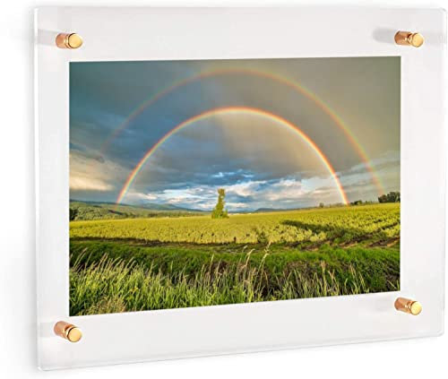 (61 x 76,2 cm) transparenter Acryl-Wandhalterung, schwebender Bilderrahmen mit (goldenen Abstandshaltern), rahmenloses Doppel-Panel-Plexiglas-Display für Fotos, Kunstwerke, Poster, Gemälde (Vollrahmen
