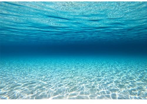 MIRRORANG 76x46cm Unterwasser-Thema Aquarium Hintergrund Blau Ozean Unterwasserwelt Aquarium Hintergrund Aquarium Hintergründe Kulisse