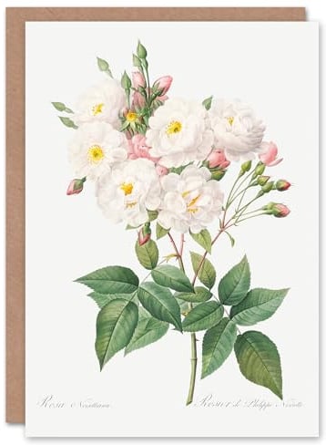Artery8 Pierre-Joseph Redouté Art Card Noisette Rose Vintage Floral Illustration
