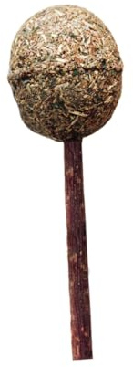 BESTonZON Boule de Cataire à Mâcher avec pour Dents et Gencives Herbe à Chat Saine Adapté Aux Petits et Moyens Chats