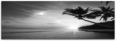 Leinwandfoto als Panorama SCHWARZ/WEISS 150x50cm Strand Meer Palmen Sonnenuntergang