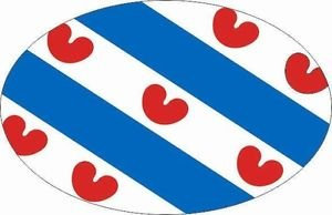 U24 Autoaufkleber Niederländisch Friesland Oval 10 x 6,5 cm