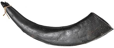 Hollings Buffalo Horn Jumbo Dog Treat, 100% Natural Grain Free Chew Treat for Adult Dogs, High in Protein and Naturally Low in Fat (1 Pack)