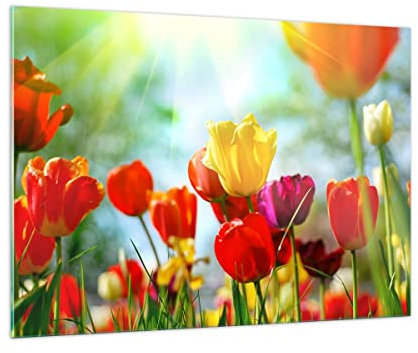 Bilder auf Glas 100x70cm Glasbild Tulpe Blume Plantage Wiese Groß Wanddeko Bild im Glas Schlafzimmer Küche Deko Wandbilder Dekoration Wohnzimmer Modern Wall Decor Wand Kunstdruck Art GAA100x70-2566