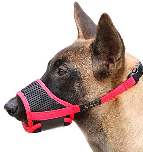 HEELE Maulkorb Für Hunde, Verstellbare Schlaufe, Atmungsaktiv, Sicherer, Schneller Sitz Für Kleine, Mittelgroße Hunde, Verhindert Das Beißen, Kauen Und Bellen (L, Rot)