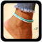 Cybche Bracelet De Cheville Turquoise Superposé Bracelet De Cheville En Perles Bleu Blanc Fait À La Main Chaîne De Pied Turquoise Bijoux De Cheville D'été Pour Femmes