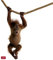1art1 Affen Orang Utan Baby Für Das Fenster Aufkleber Poster-Sticker Für Fenster 92x45 cm