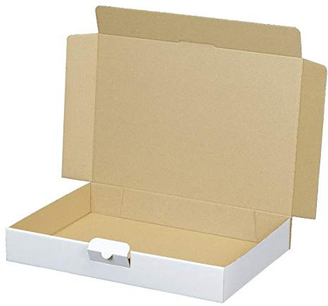 100 weiße Maxibriefkartons 320 x 225 x 50 mm weiß (100 Stück) DIN A4 Maxibrief Bastelkarton zum Anmalen
