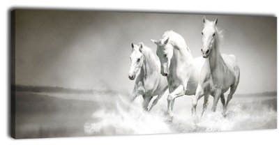 wandmotiv24 Leinwandbild Panorama Nr. 397 Pferde 100x40cm, Keilrahmenbild, Bild auf Leinwand, Araber Pferd Trab