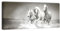 wandmotiv24 Leinwandbild Panorama Nr. 397 Pferde 100x40cm, Keilrahmenbild, Bild auf Leinwand, Araber Pferd Trab