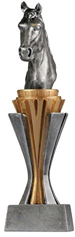 Pokal Trophäe Reiten/Pferde mit Gravur ca. 17 cm hoch Größe S