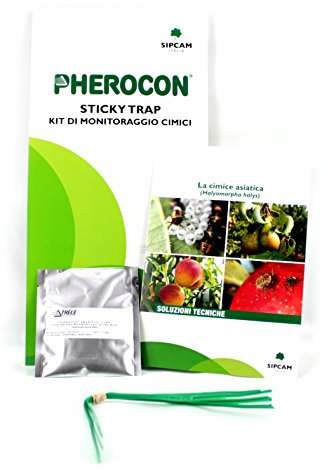 Trappola adesiva a feromoni per cimici Pherocon Sticky Trap