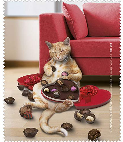 Bridgeman Art Library Microfasertuch/Brillenputztuch Naschkatze RBT302