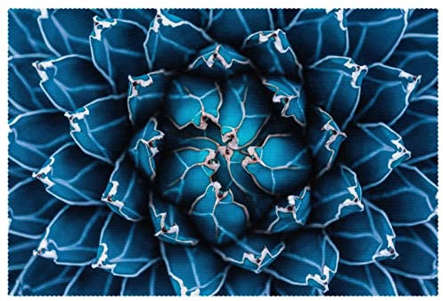 Agave Kaktus Tischsets 1 Stück für Esstisch, waschbar, rutschfest, für Weihnachten, Urlaub, Geburtstag, Party