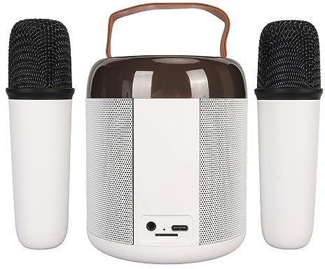 Tragbares Karaoke System, RGB Bluetooth Lautsprecher mit 2 Kabellosen Mikrofonen, unterstützt 512G Speicher, ideal für Familienfeiern und Party