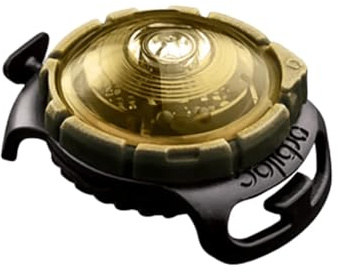 Orbiloc Dog Dual Safety Light, wasserdicht, lange Reichweite, goldfarben