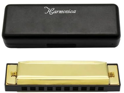 10-Loch-Mundharmonika Musikinstrument Mundharmonika Harfe(Gold)