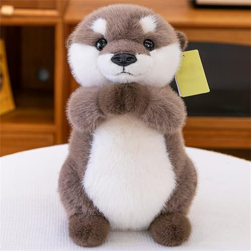 AQCQDQ Otter Plüschtier, Otter Kuscheltier Otter, Niedliches Plüschtier zum Kuscheln und Spielen, Plushie Puppen Stofftier Geschenke für Kinder (25 cm)