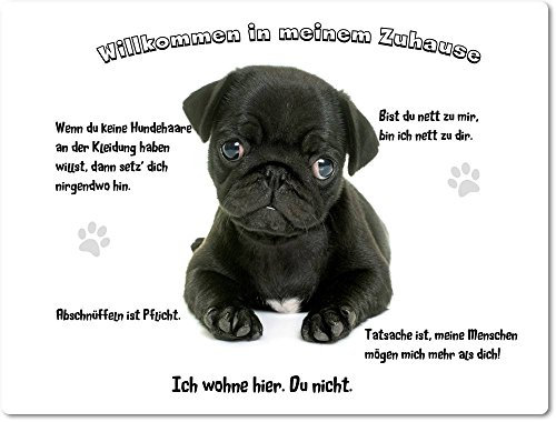 Merchandise for Fans Blechschild/Warnschild/Türschild - Aluminium - 30x40cm - - Willkommen in Meinem Zuhause - Motiv: Mops schwarzer Welpe - 09