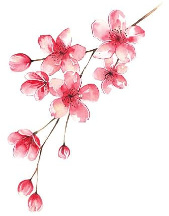 2 pcs Japanese Cherry Blossom Temporary Tattoo Waterproof Clavicle Antique Flower Plum Blossom Peach Blossom Beautiful Small Fresh Simulation Tattoo