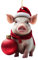 Weihnachtsschwein Ornament Lustiger 2D Baumschmuck Acryl Cartoon Schwein Anhänger Mit Umhängeband Niedlicher Weihnachtsschmuck Für Bäume Türen Äste Wände Fahrzeuge