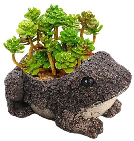 Streysisl Cache-pot pour tortues, petits pots de plantes succulentes | Pots de fleurs mignons, pots de fleurs créatifs pour tortues, grenouilles, hérissons, pots de fleurs pour plantes succulentes,