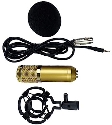 VICASKY Bm-800 Kondensatormikrofon Goldfarben Mit Doppellagigem Elastischem Netz Großmembran XLR Dreipolanschluss Für Konferenz Und Gesangsaufnahmen Karaoke Mikrofon