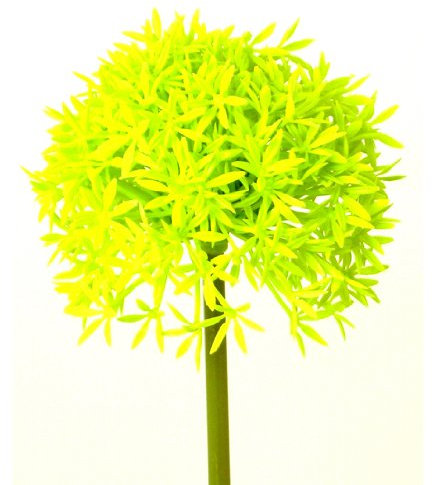 Kunstblumen Allium 64cm. Farbe HELL GRÜN