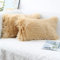 OYIMUA 2 Pcs Weicher Zierkissenbezüge Deko Kissen Schaffell Lammfell Kunstfell Langhaar Zierkissen Kissenbezug Fellimitat Sofakissen Cuddly Kissen (Beige, 30 x 50 cm)