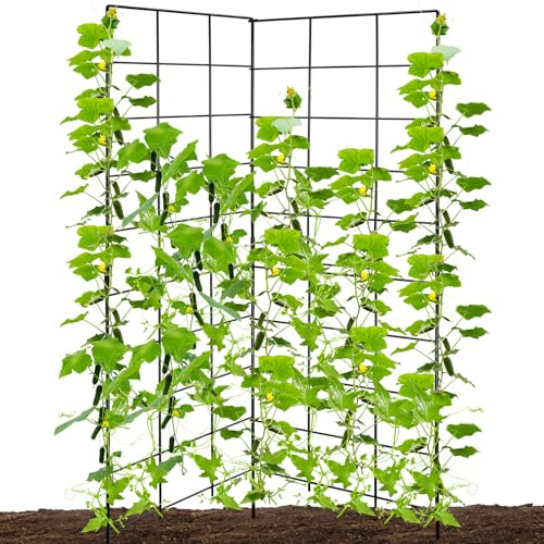 Gurken-Rankgitter aus Metall, 2 Paneele, zusammenklappbar, für Kletterpflanzen, Erbsenspalier für Hochbeet, Garten, Bohnen-Rankgitter für Gurken, Gemüse, Obst, Rankgitter