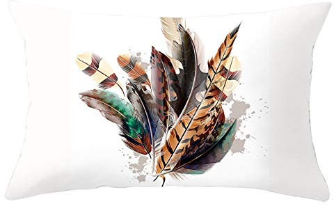 Ethereval Leinen Kissenbezüge Rechteckig Kissenhülle Quer Feder Weiß Kissenbezüge Uni Kissenbezug Indianer Premiumtouch-Kissenbezüge 30x50cm