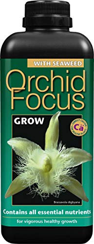 Orchid Focus Grow 1 Litre