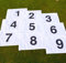 eclipse branding Numbered Golf Pin Tee Flags 1-9 yellow white blue or red with Ties for the pole (1-9 Blue Flags with Ties)