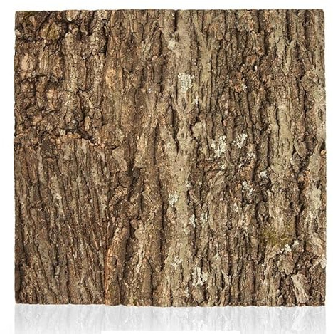 Swell Reptiles Natural Cork Tile Background Enclosure Decor (55 x 55cm approx.)