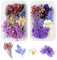 GEFIRE 2 Stück Natürliche Getrocknete Blumen, Trockenblumen Set Trockenblumen zum Basteln Gepresste Blumen Klein für Kunst Basteln DIY Harz Scrapbooking Handwerk Karten Machen (Lila)