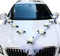 Décoration De Voiture pour Mariage avec Guirlande - Idéal pour La Fête De Mariage, La Décoration De Voiture, Le Couple De Mariés, La Rose Et La Décoration De Mariage