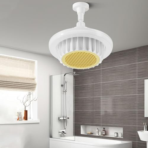 Ventilateur De Salle De Bain 600 W avec Chauffage Lumineux | Chauffage De Terrasse Électrique Au Plafond | Chauffage Soufflant De Salle De Bain avec Télécommande, 5 Modes 24,5 X 16 X 24,7 Cm