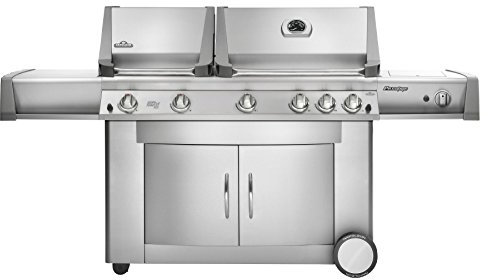 Napoleon Prestige 2, Acciaio Inox, Gemini