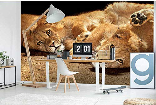 Vlies Fototapete JUNGER LÖWE 375 x 250 cm | Vliestapete - Wandtapete inklusive Kleister | PREMIUM VLIES QUALITÄT