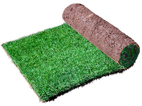 Harrowden Turf Premium Lawn Turf - 50 Rolls (50m²)