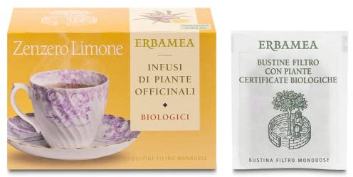 Erbamea Zenzero/lim Bio 20 Bustine 30 G