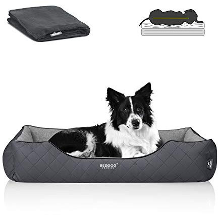 BedDog Premium Orthopädisches Hundebett WUFFI, Hundesofa aus Kunstleder, Abnehmbarer Bezug, Kuschel-Decke Zugabe - Rock-Flow (grau/grau)