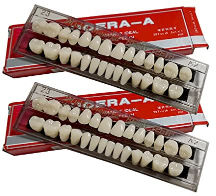 56 Stück falsche Zähne Dental Komplette Acrylharz Zahnersatz, 2 Set Ganze Zähne Synthetische Polymer Zahnersatz Zahn, 23 Farbschatten A2 Obere + Untere Dentalmaterialien für Ersatz, DIY oder Halloween