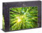 Ulmer Puzzleschmiede - Puzzle „Licht und Schatten“ - Stimmungsvolles Wald-Puzzle mit 1000 Teilen - Die Sonne scheint durch die Baum-Wipfel beim senkrechten Blick vom Wald-Boden zum Himmel