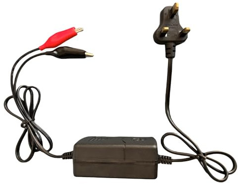 Evwoge 12V 2000mA Sealed Lead Acid (SLA) Battery Charger with Short Circuit Protection for Car Truck Motorcycle