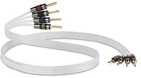 QED Silver Anniversary XT Bi-Wire Speaker Cable Terminated by Digitalis Audio with QED Airloc Forte Banana Plugs (2m, Bi-Wire Airloc)